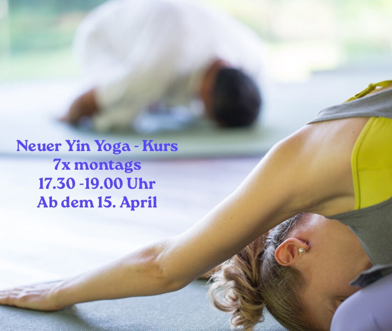 YIN YOGA KURS