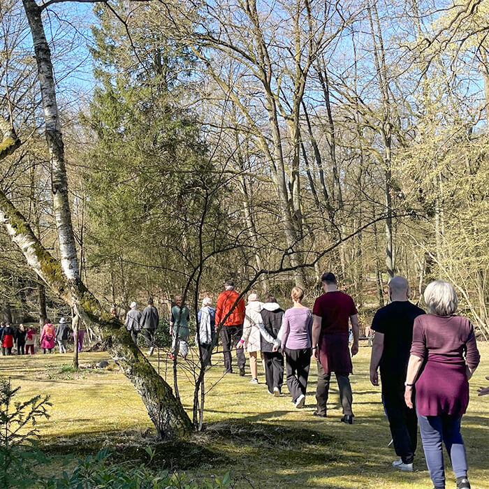 19 Menschen üben achtsame Gehmeditation im Park des Haus der Stille während eines traumasensiblen Schweigeretreats.