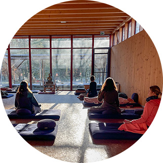 Mehrere Teilnehmerinnen meditieren im Tempel während eines Schweigeretreats, verglaste Wand zeigt nebligen Wald.