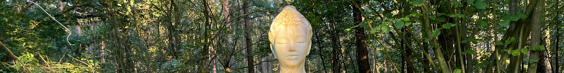 Weißer Tara-Statuenkopf im Wald, umgeben von Bäumen rechts und links, friedliche meditative Stimmung