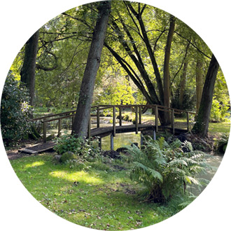 Brücke über See im Haus der Stille, umgeben von Rhododendron und alten Bäumen, grüne Parkatmosphäre für Schweigeretreats.