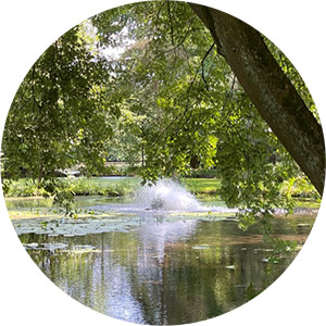 Teich in der Parklandschaft des Hauses der Stille mit Fontäne, umgeben von Natur, ruhige meditative Atmosphäre.